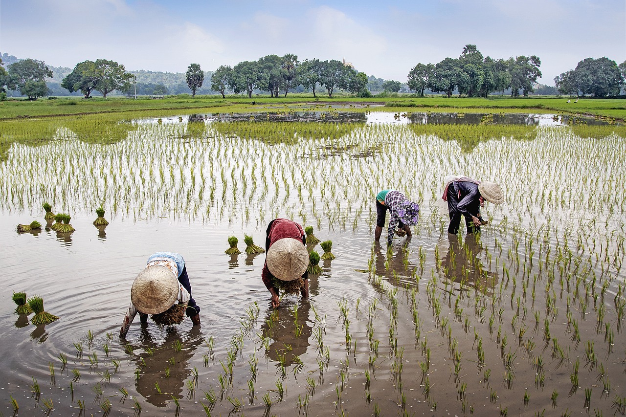 Rural Tourism 1