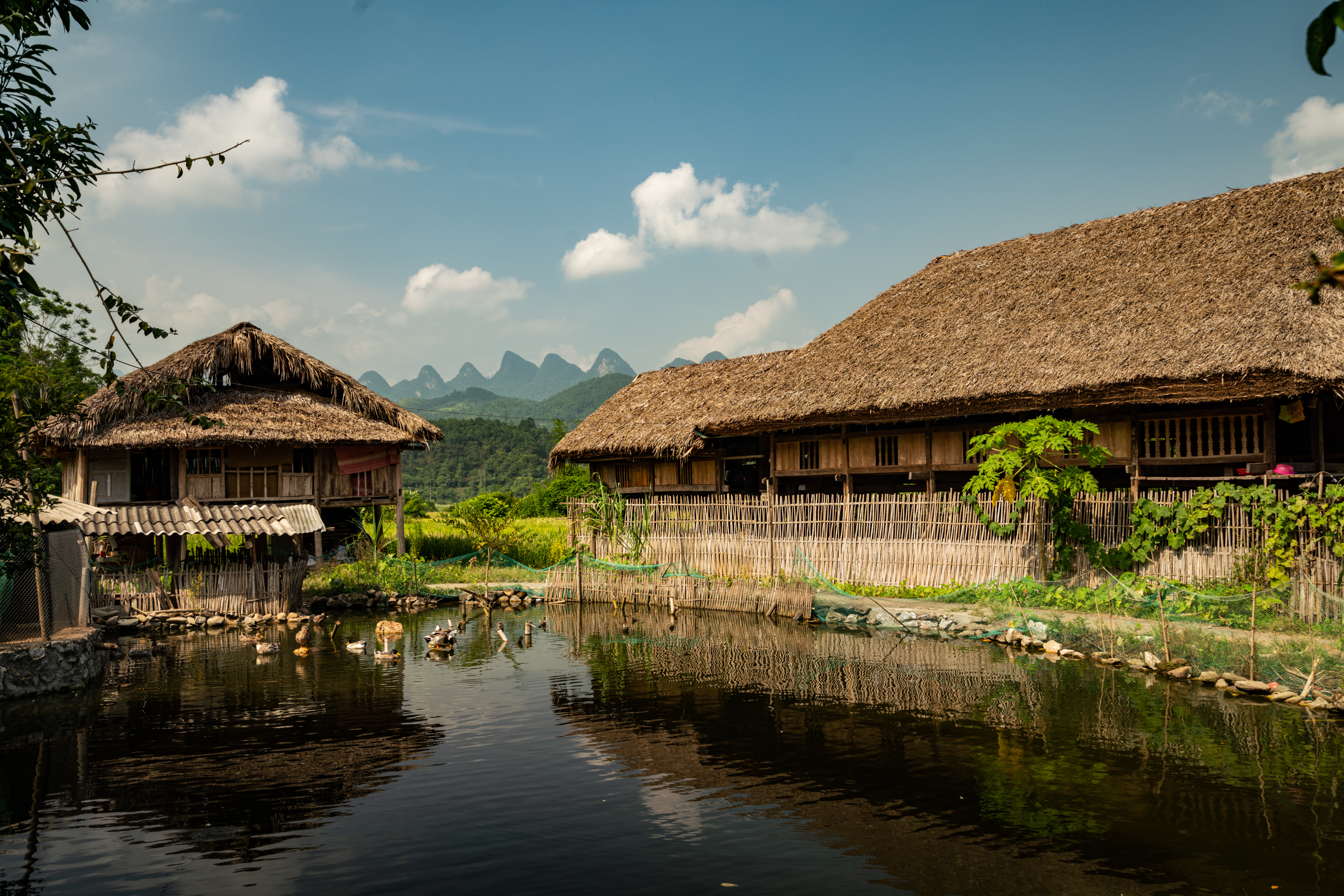 wooden house